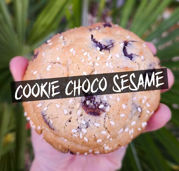 au Camion à croquer food truck burger sandwich pastrami rennes cesson chantepie saint-médard sur ille