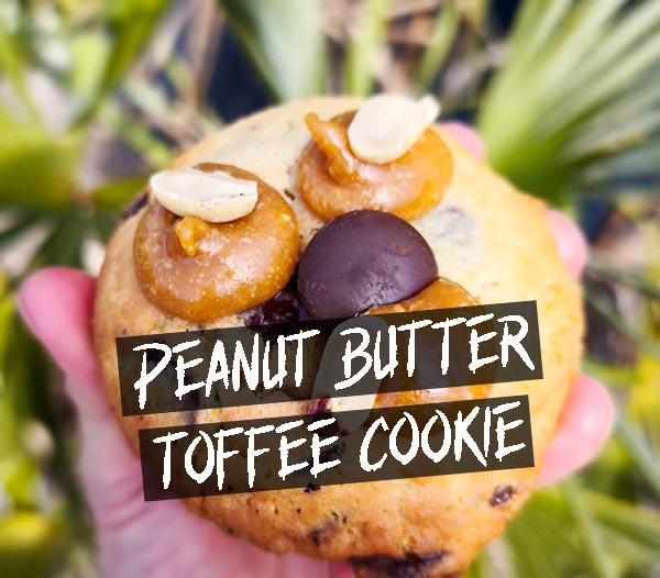 au Camion à croquer food truck burger sandwich pastrami rennes cesson chantepie saint-médard sur ille